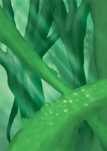 [Colulun - Minami Kohto] Odoru Kemono Tachi Fhentai - Page 2