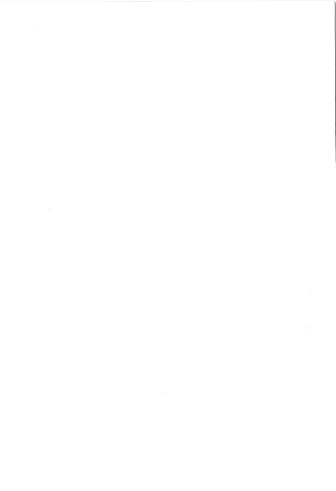 [Wada Erika] Alice no Ochakai 3 Fhentai - Page 167