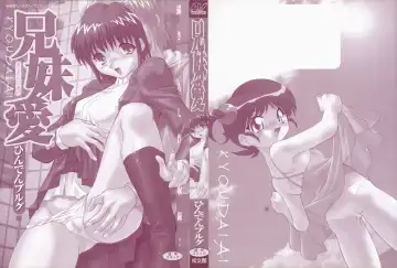 [Hindenburg] Kyoudai Ai Fhentai - Page 2