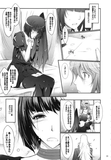 [Tana] Re:Sister Fhentai - Page 13