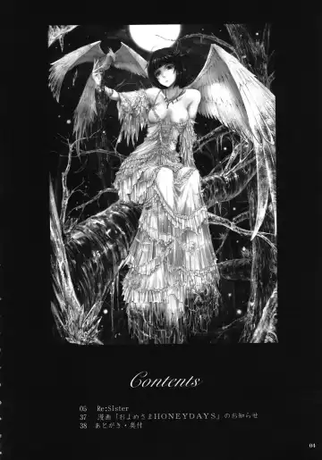 [Tana] Re:Sister Fhentai - Page 4