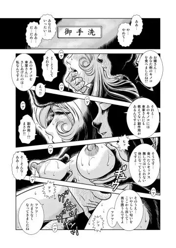 [Kaguyahime] Maetel Story 9 Fhentai - Page 11