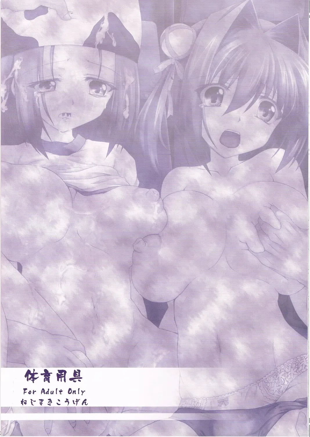 [Kirisawa Tokito] Taiiku Yougu Fhentai - Page 26