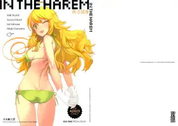 [Oyari Ashito] IN THE HAREM A SIDE - Fhentai.net