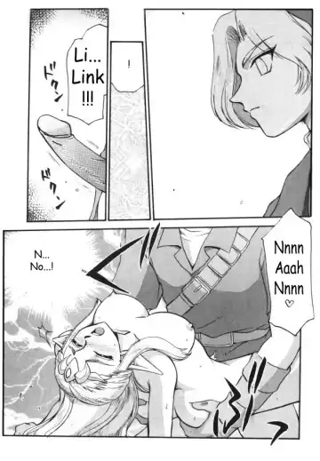 [Taira Hajime] NISE Zelda no Densetsu Shinshou Fhentai.net - Page 14