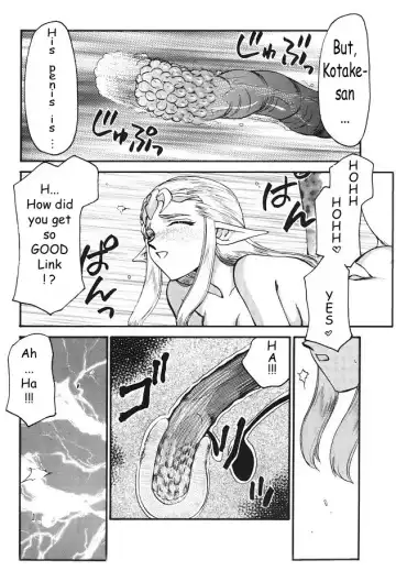 [Taira Hajime] NISE Zelda no Densetsu Shinshou Fhentai.net - Page 21