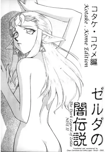 [Taira Hajime] NISE Zelda no Densetsu Shinshou Fhentai.net - Page 6