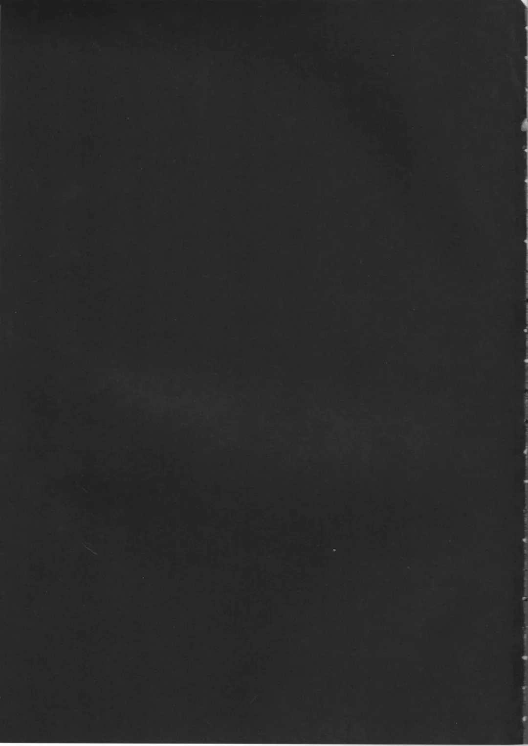 [Riko] Kagonotori Fhentai - Page 2