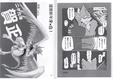 [B-curd - Mikaduki Karasu - Ro] 2009 Gashou Fhentai - Page 14