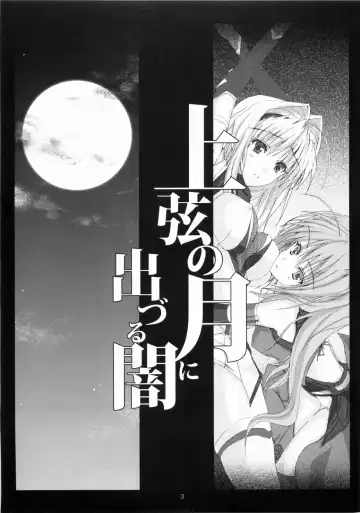 [Noba] Juugen no Tsuki no Izuru Yami Fhentai.net - Page 3