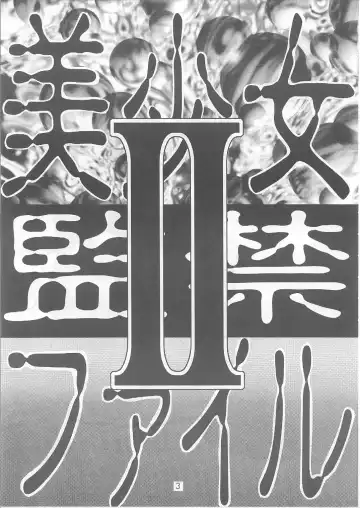 Bishoujo Kankin File II Fhentai - Page 2