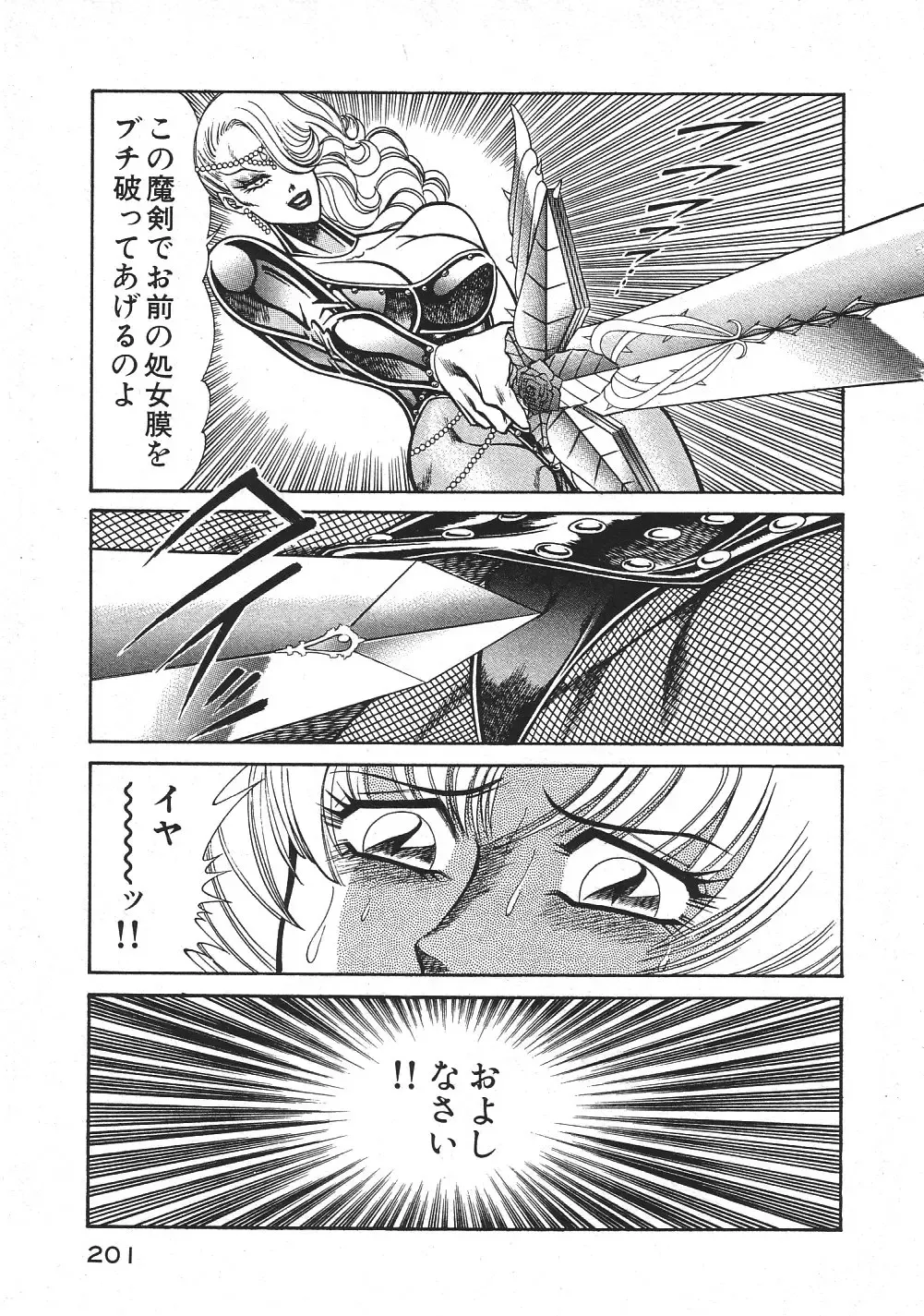 [Inui Haruka] Joousama Wars Fhentai - Page 204