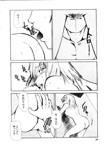 [Kakashi Asahiro] Inu Shoujo Fhentai - Page 29