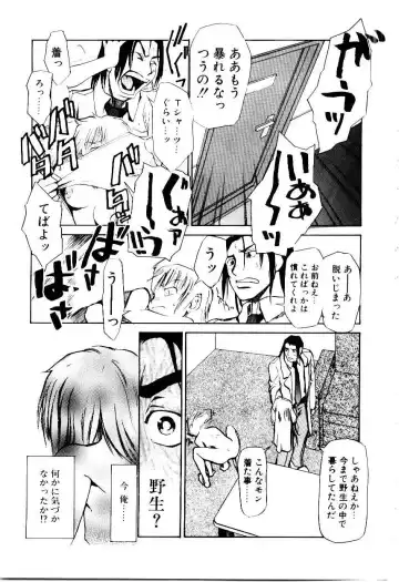 [Kakashi Asahiro] Inu Shoujo Fhentai - Page 44