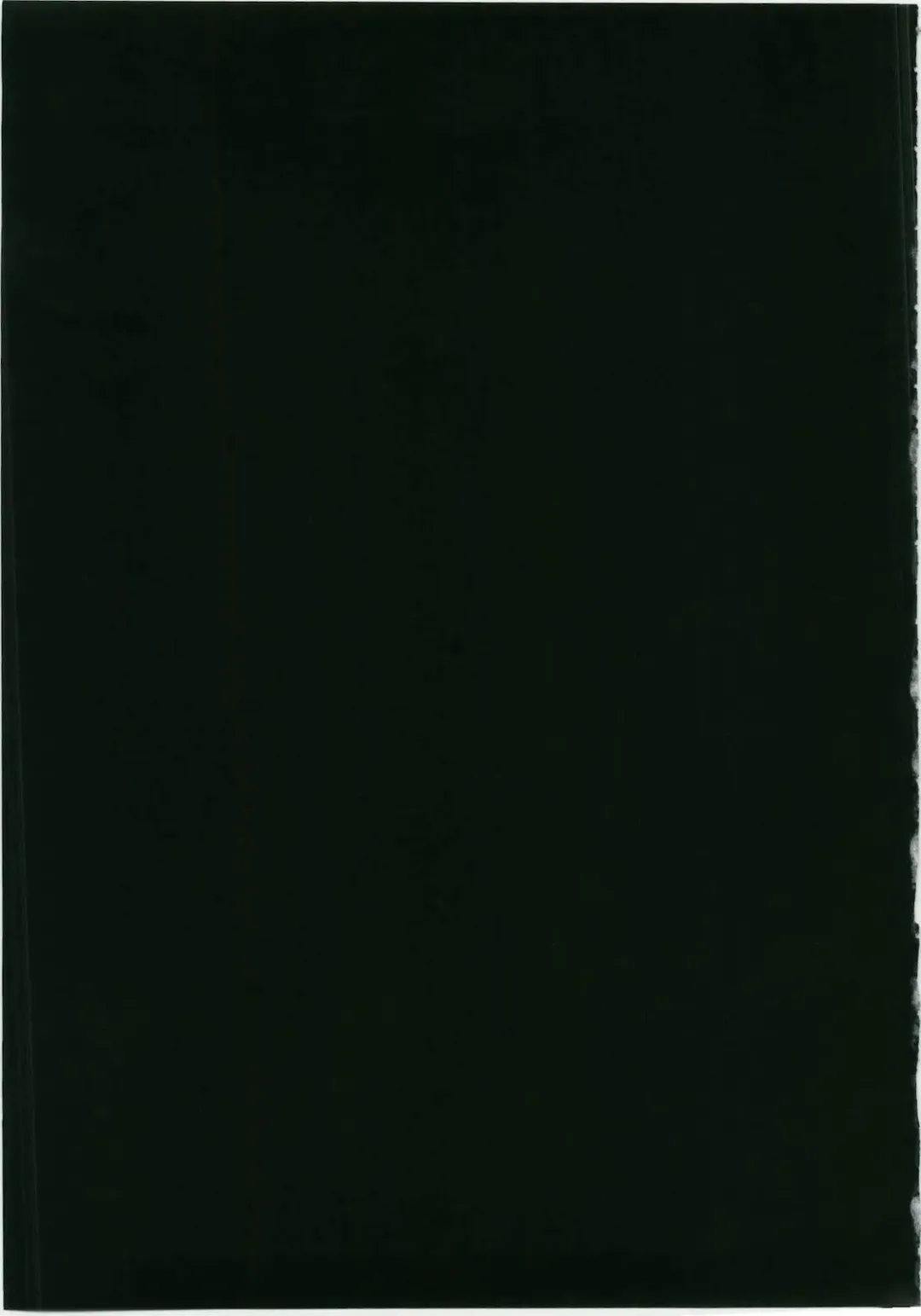 [Shinonome Ryu] Marisa to Kinoko to Kichiku na Miko Fhentai - Page 29