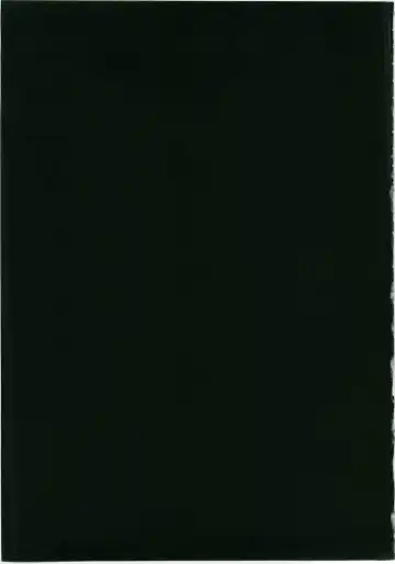 [Shinonome Ryu] Marisa to Kinoko to Kichiku na Miko Fhentai - Page 29