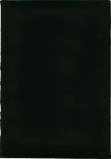 [Shinonome Ryu] Marisa to Kinoko to Kichiku na Miko Fhentai - Page 30