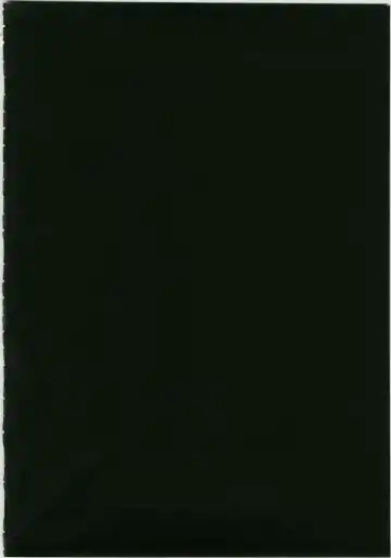 [Shinonome Ryu] Marisa to Kinoko to Kichiku na Miko Fhentai - Page 4