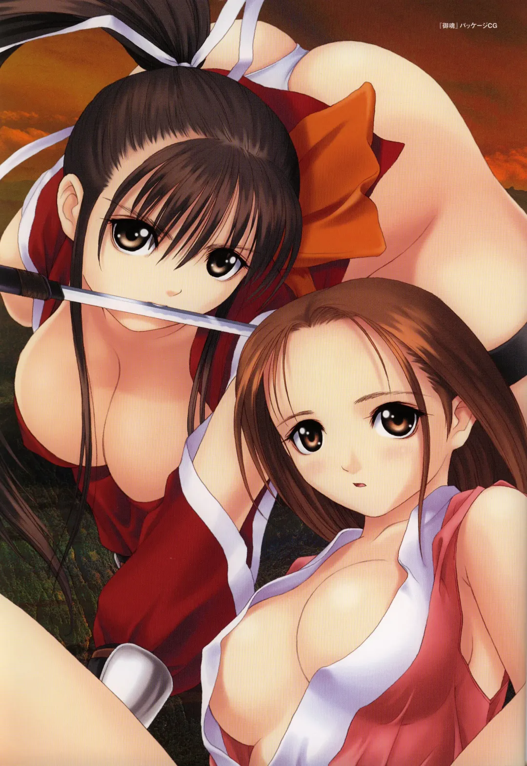 [Tony Taka] Tony WORKS Mitama ~Shinobi~ / ARCANA ~Hikari to Yami no Ekstasis~ Nisakuhin Gengashuu Fhentai.net - Page 11