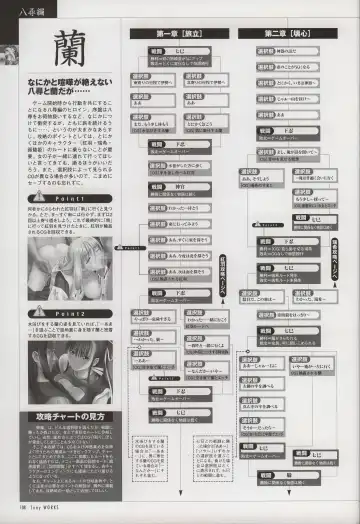 [Tony Taka] Tony WORKS Mitama ~Shinobi~ / ARCANA ~Hikari to Yami no Ekstasis~ Nisakuhin Gengashuu Fhentai.net - Page 113