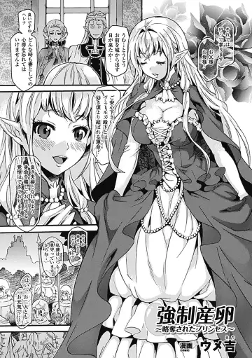 [Segami Daisuke - Tousen - Umekichi] Sanran Anthology Comics Vol. 2 Fhentai - Page 25