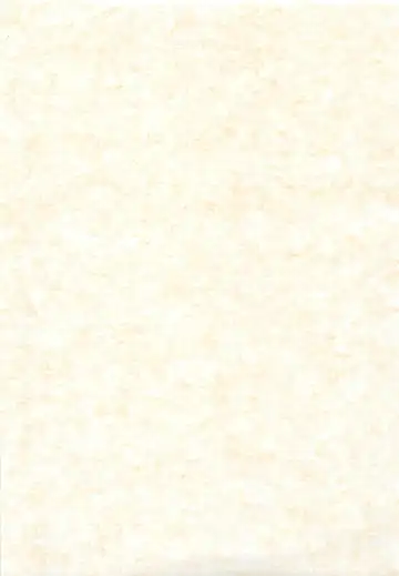 [Ishida Masayuki] Shiromadoushi Hi Onegaishimasu Fhentai - Page 2