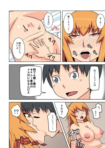 [Engawa] 堕ち姉 Fhentai.net - Page 16