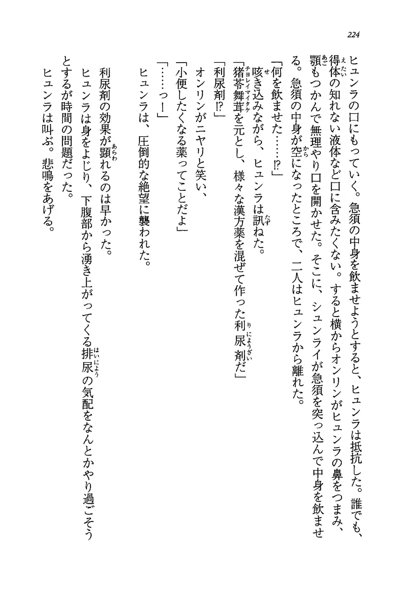 [Rebis] Burin Crossroad Fhentai - Page 222