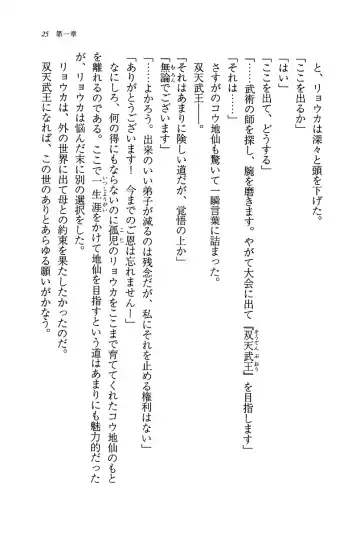 [Rebis] Burin Crossroad Fhentai - Page 23