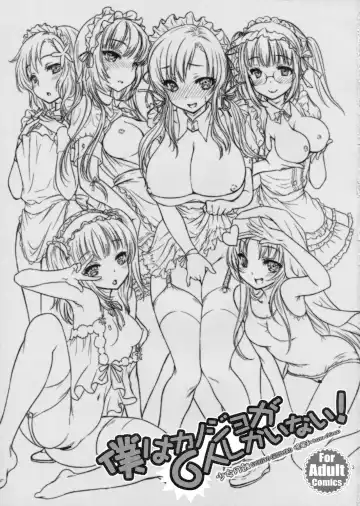 [Shimao Kazu] Boku wa Kanojo ga 6-nin shika Inai! Fhentai - Page 3