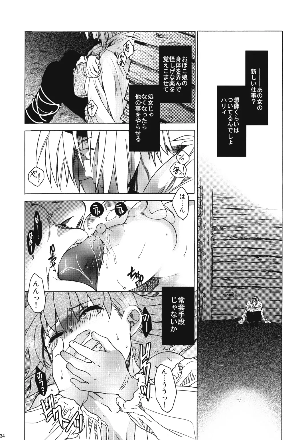 [Heizo - Kitoen] Saint Foire Festival 7 Mabel Fhentai - Page 33