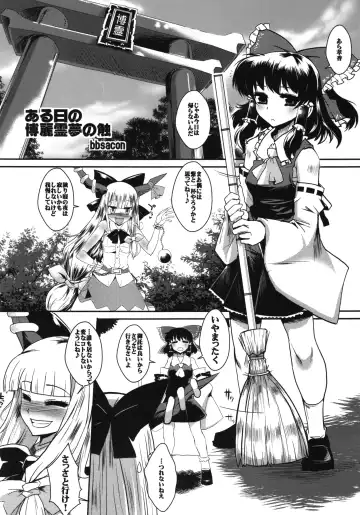 [Bbsacon - Hato] Touhou Gensoushoku Fhentai - Page 4