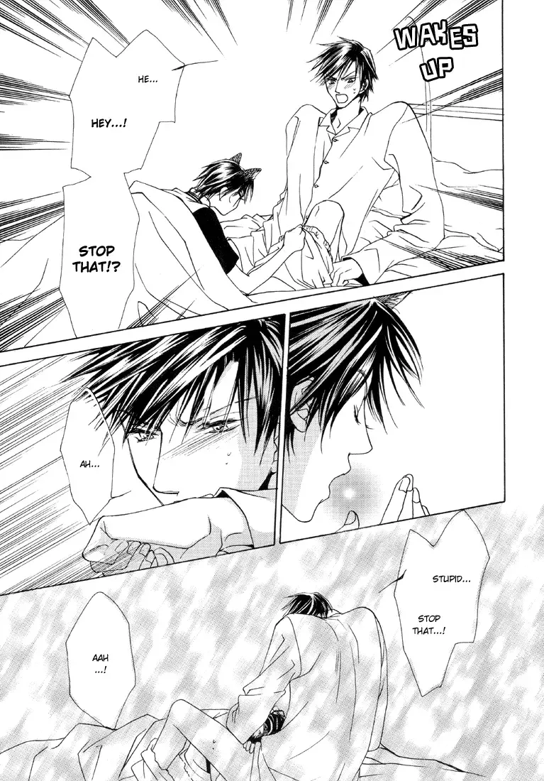 [Kamo Nabako] Love Cat Fhentai - Page 13