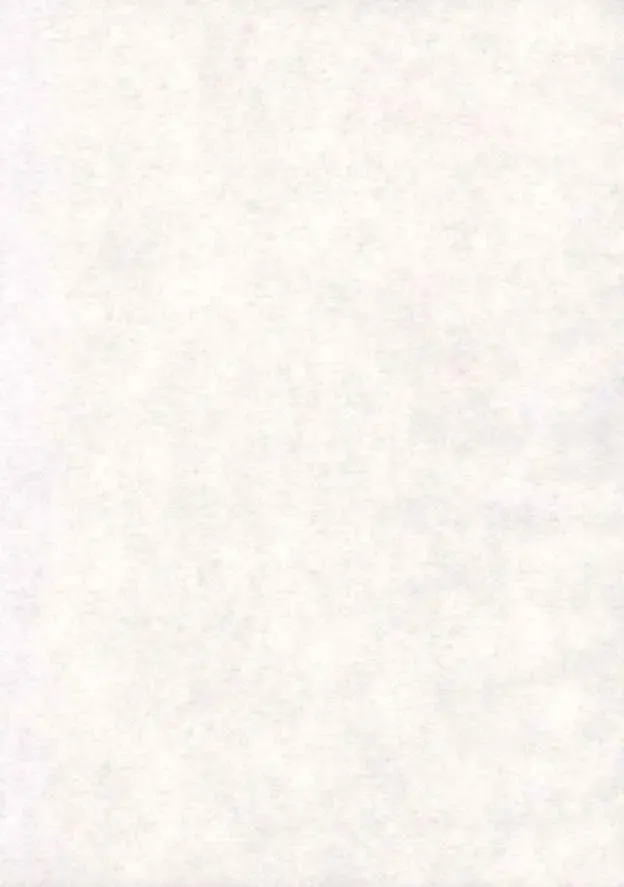 [Seijirou Kagechika] Yoruichi Nyan no Hon 2 Fhentai - Page 2