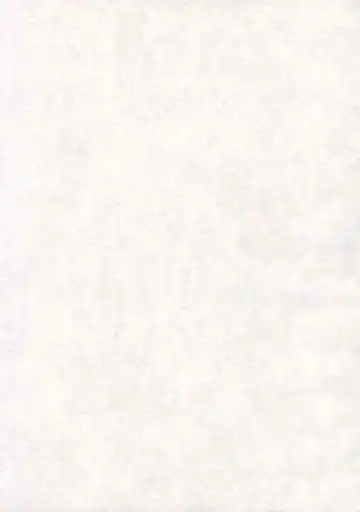 [Seijirou Kagechika] Yoruichi Nyan no Hon 2 Fhentai - Page 2