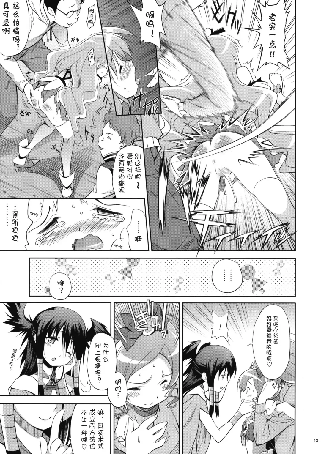 [Inase Shinya] Melt Flower (Heart Catch Precure) [Chinese] 【btboy12个人汉化】 Fhentai.net - Page 12