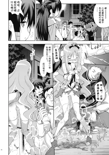 [Inase Shinya] Melt Flower (Heart Catch Precure) [Chinese] 【btboy12个人汉化】 Fhentai.net - Page 15