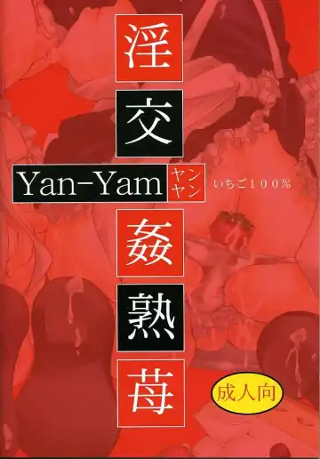 [Yan-yam] Inkou Kanjuku Ichigo Fhentai - Page 24