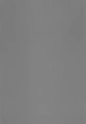 [Ryokutya] Elf Bokujou - Sakunyuu Hen Fhentai - Page 20