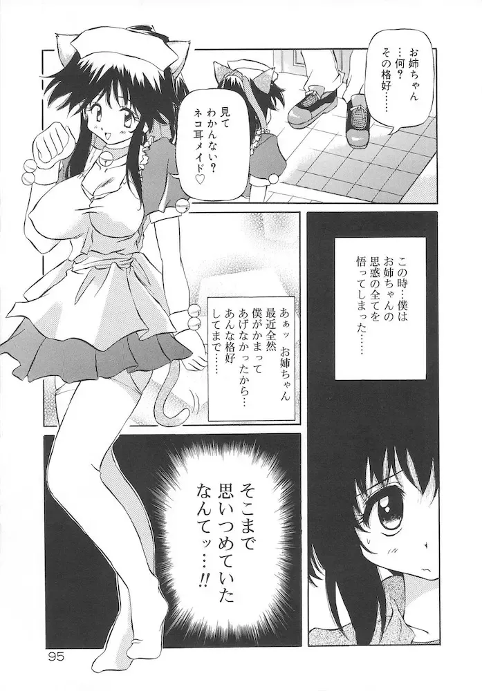 [Yasui Hirosato] Honto wa Suki Nanda+ Fhentai.net - Page 97