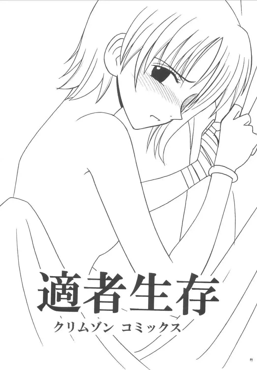 [Crimson] Koukai Soushuuhen Fhentai - Page 18