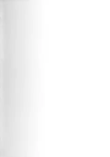 [Kimura Naoki] Hiyake Ato Fhentai - Page 3