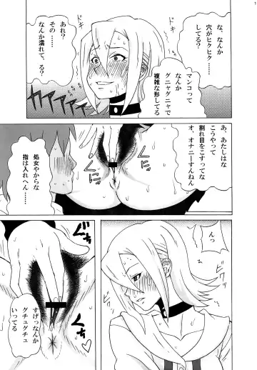 [Pip] Himeko-san ni Iroiro Tanondemita。 Fhentai.net - Page 12