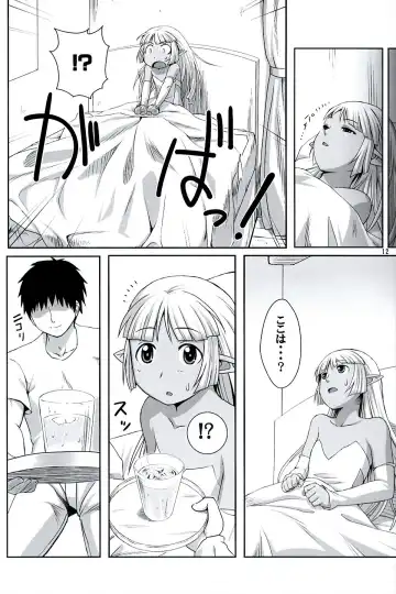 [Ono Misao] Seirei No Musubimi Fhentai.net - Page 11