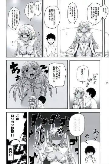 [Ono Misao] Seirei No Musubimi Fhentai.net - Page 33