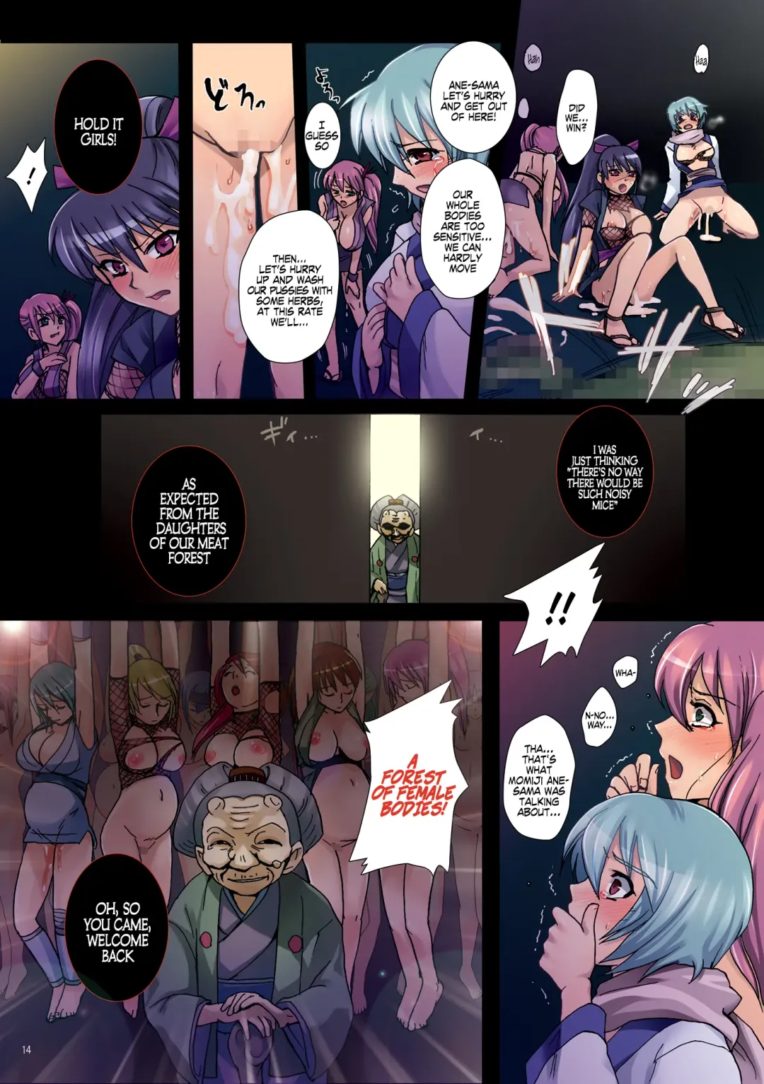 [Modaetei Anetarou] Meniku Ninpouchou ~Daiichiya Nikurin no Musume~ | Female Bodies Ninpou ~1st Night Daughter of the Meat Forest~ Fhentai.net - Page 14