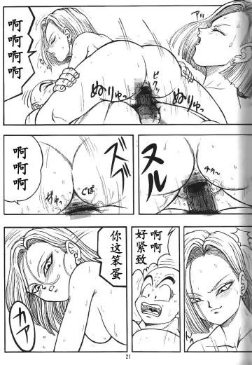 [Garland] DragonBall H Maki San Fhentai.net - Page 20