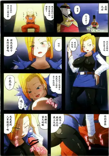 [Rikka Kai] Homunculus 18-gou Seitai Energy Kyuushuu Tokkagata Sai Chousei Jikken Kiroku Fhentai - Page 12