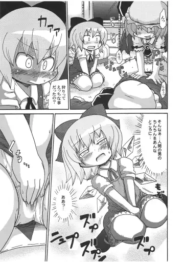 [Yoyoyoyou] Ochiru Cirno Fhentai - Page 10