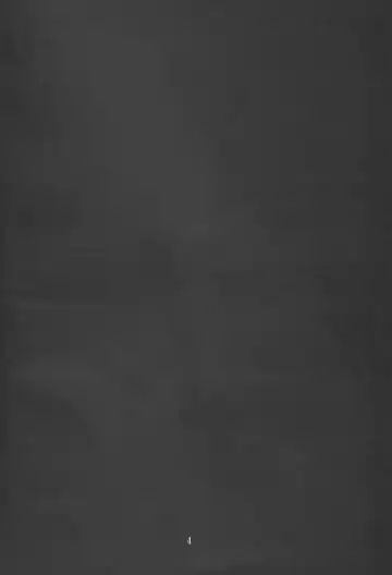 [Makoushi - Taireru] Nightmare Fhentai - Page 4